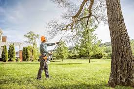 Best Tree Maintenance Programs  in Dane, WI