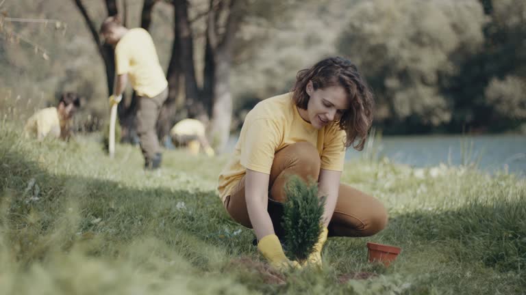 Tree and Shrub Care in Dane, WI