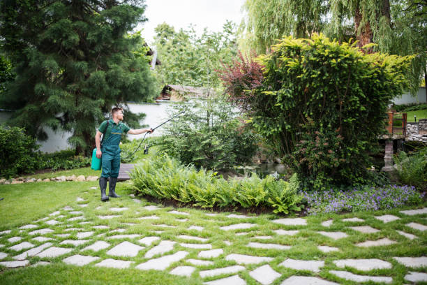 Best Stump Grinding and Removal  in Dane, WI