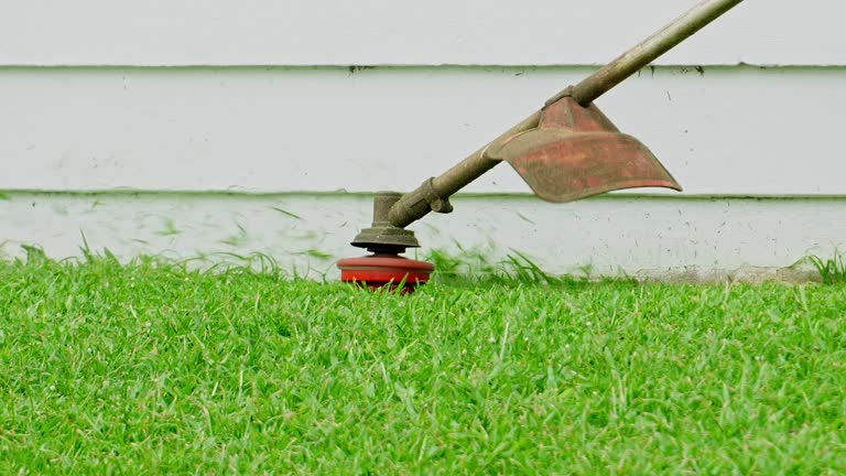 Best Root Management and Removal  in Dane, WI